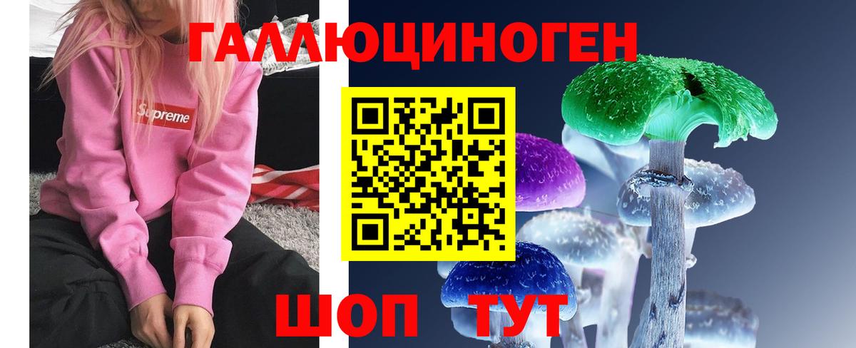 Псилоцибиновые грибы Magic Shrooms  Петропавловск-Камчатский 